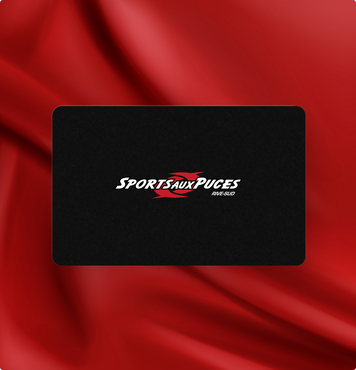 Image_20 - Quebec - Sports aux Puces Rive-Sud