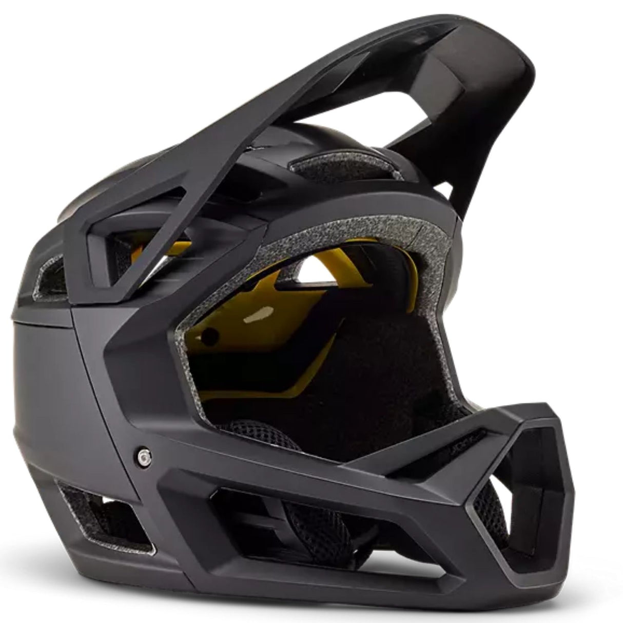 Proframe Matte Helmet