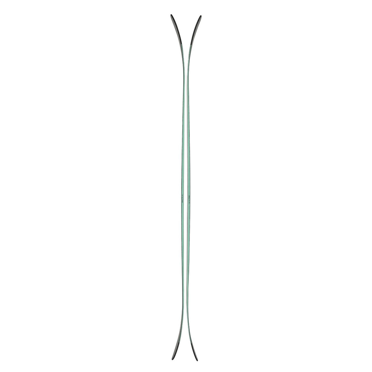 Skis Canvas 108