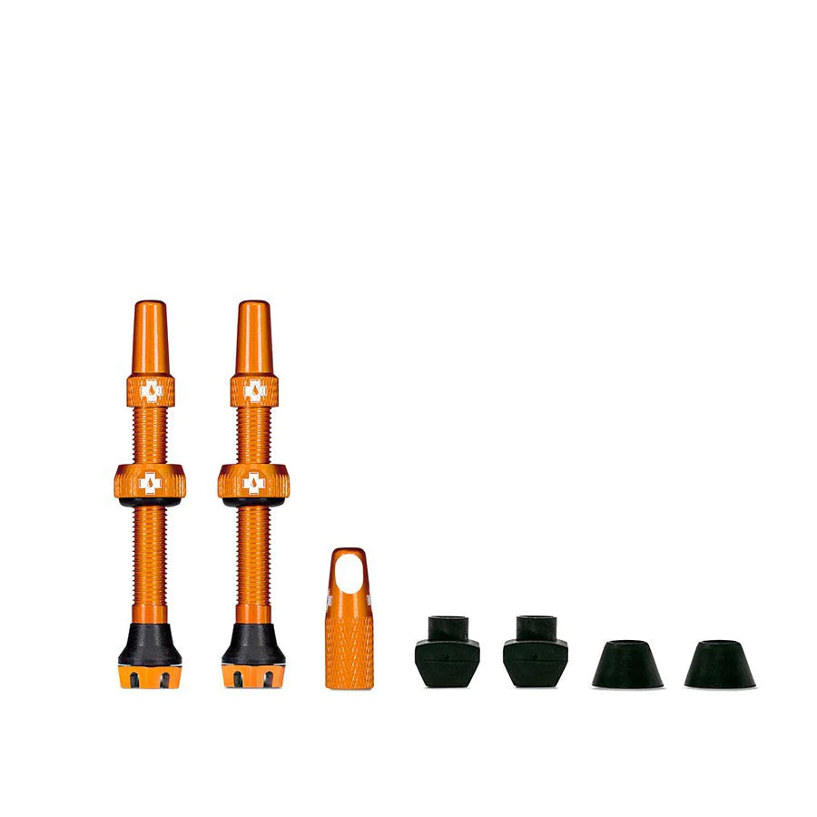 Valves Tubeless V2