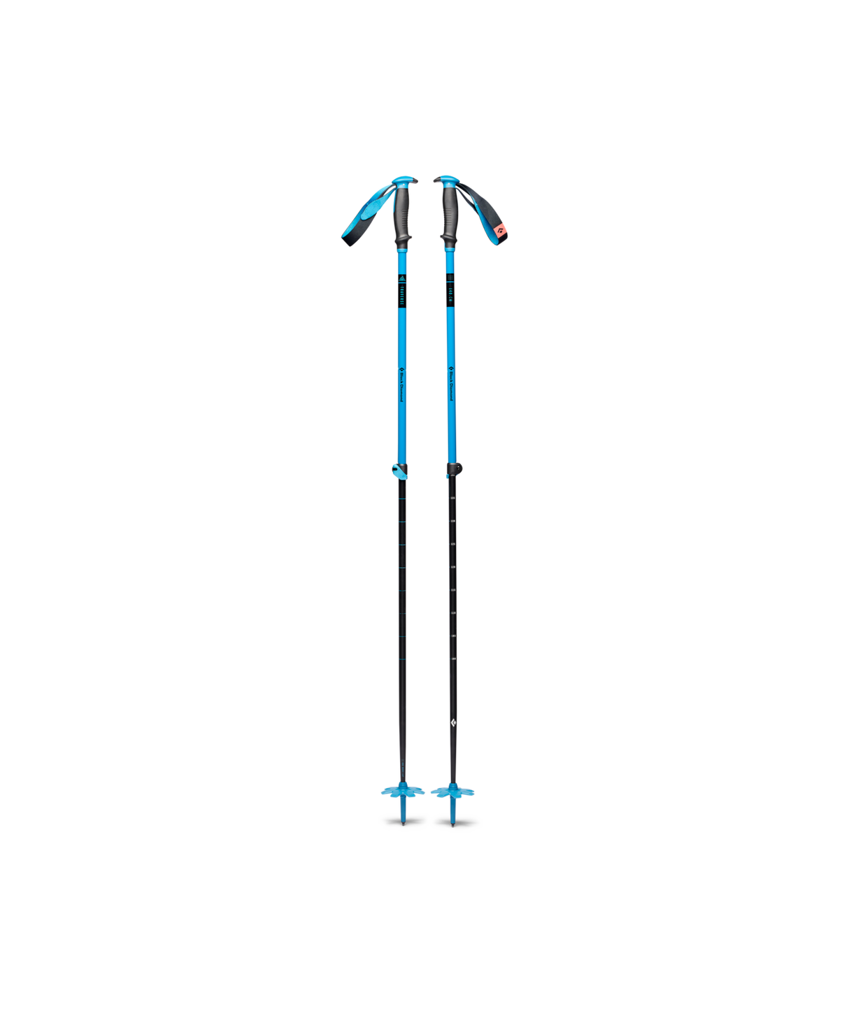 Bâtons Traverse Ski