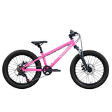 Storm 20 Bike