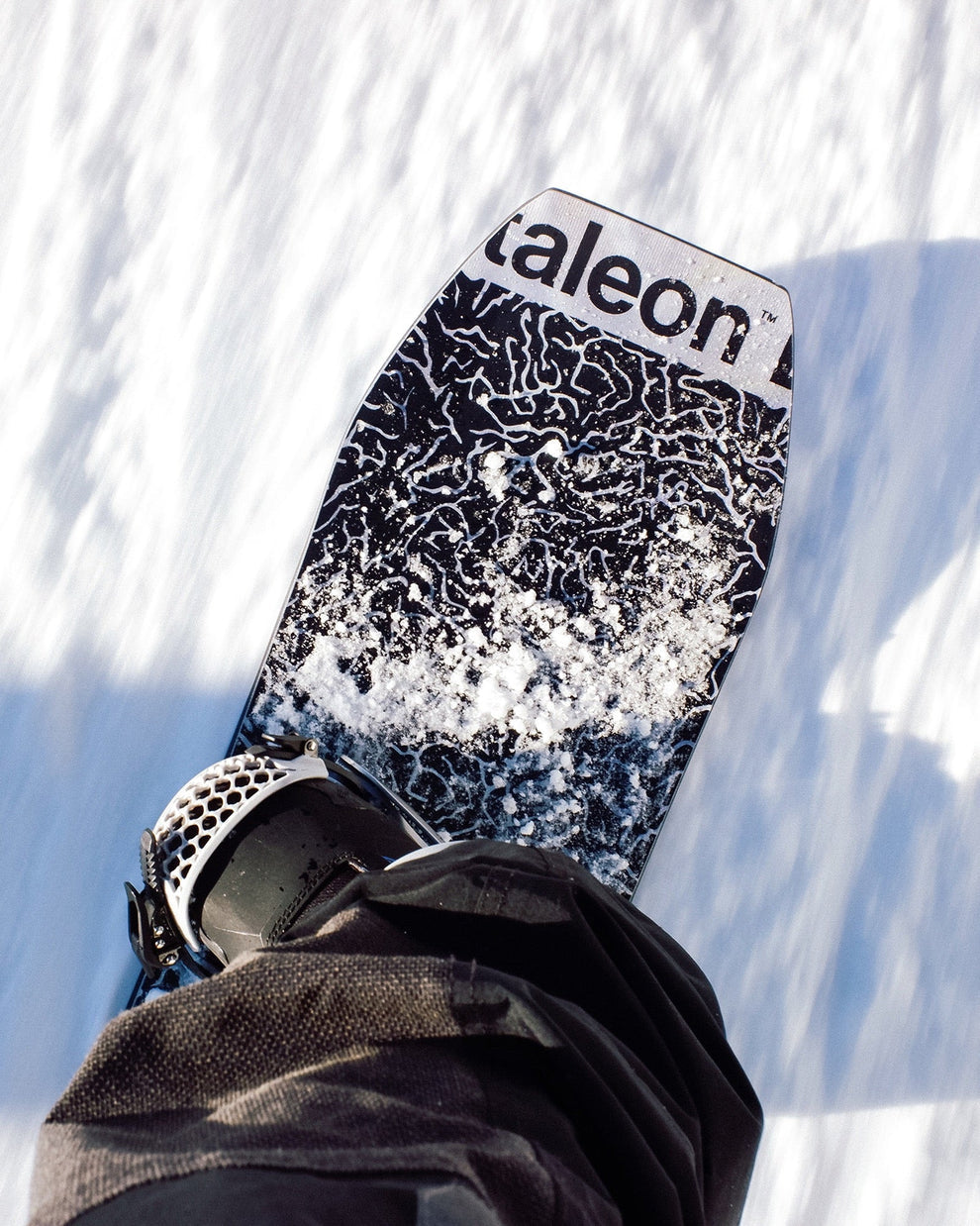 Planche Wallie 2026