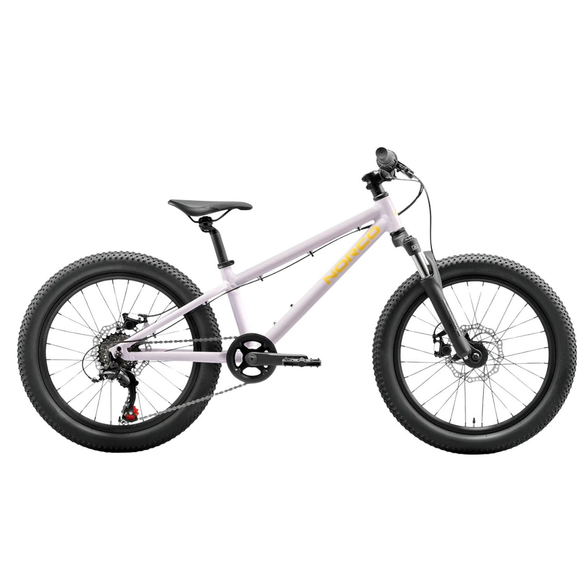 Storm 20 Bike