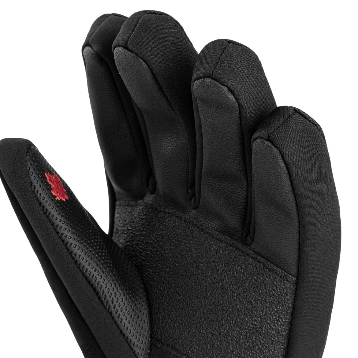 Gants Explorer
