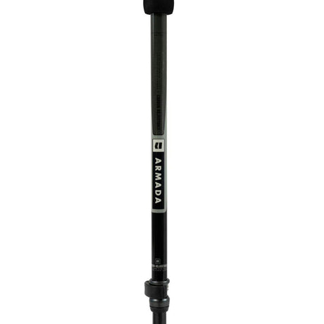 Bâtons Carbon Ajustable