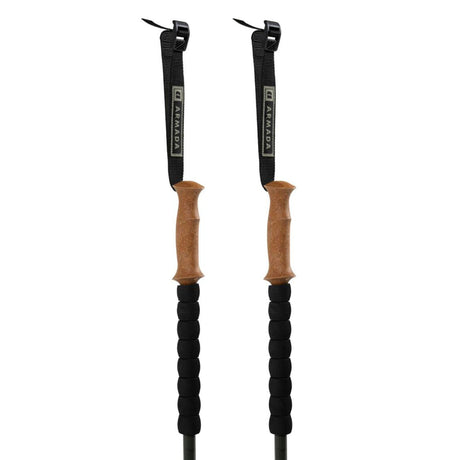 Bâtons Carbon Ajustable