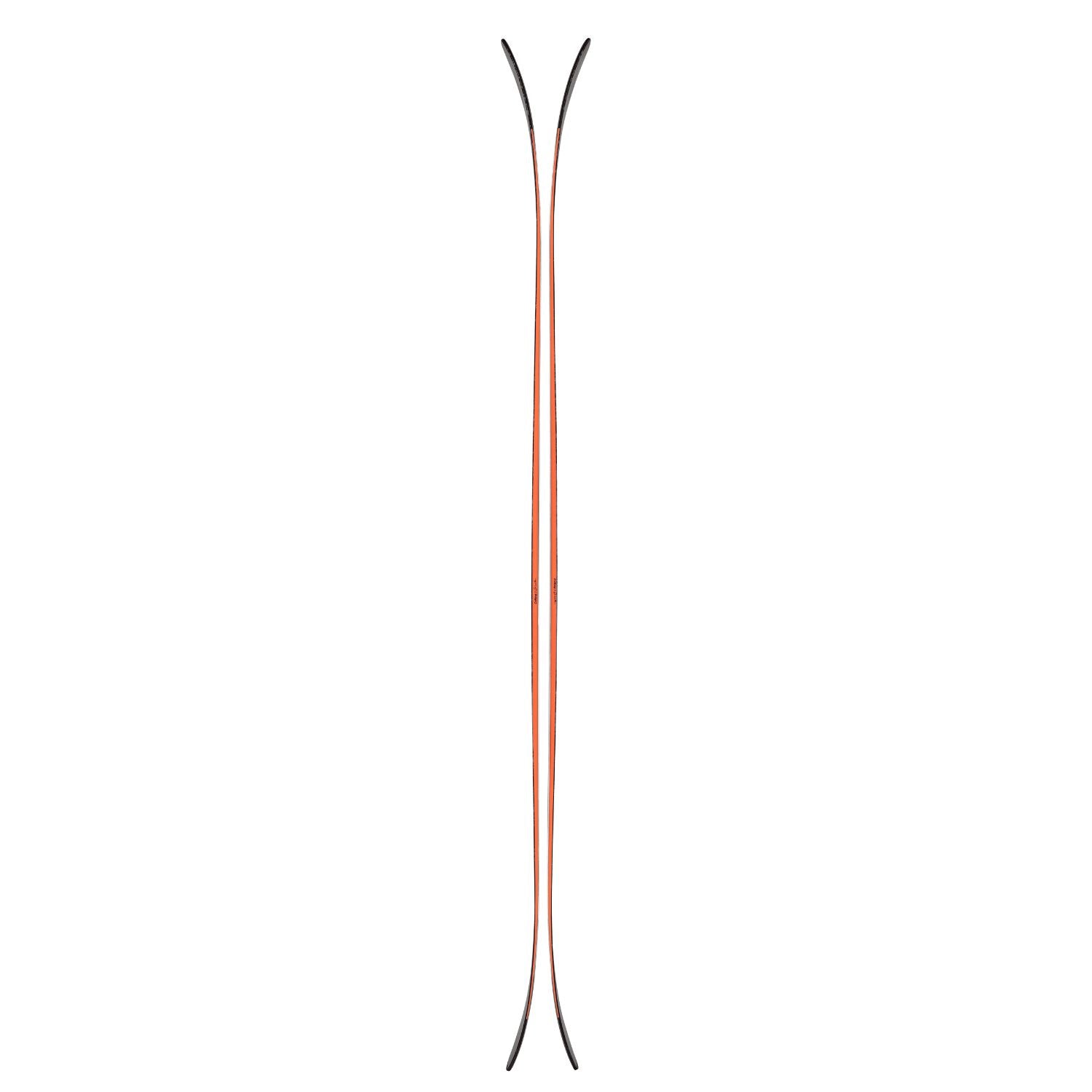 Skis Canvas 100 Profile