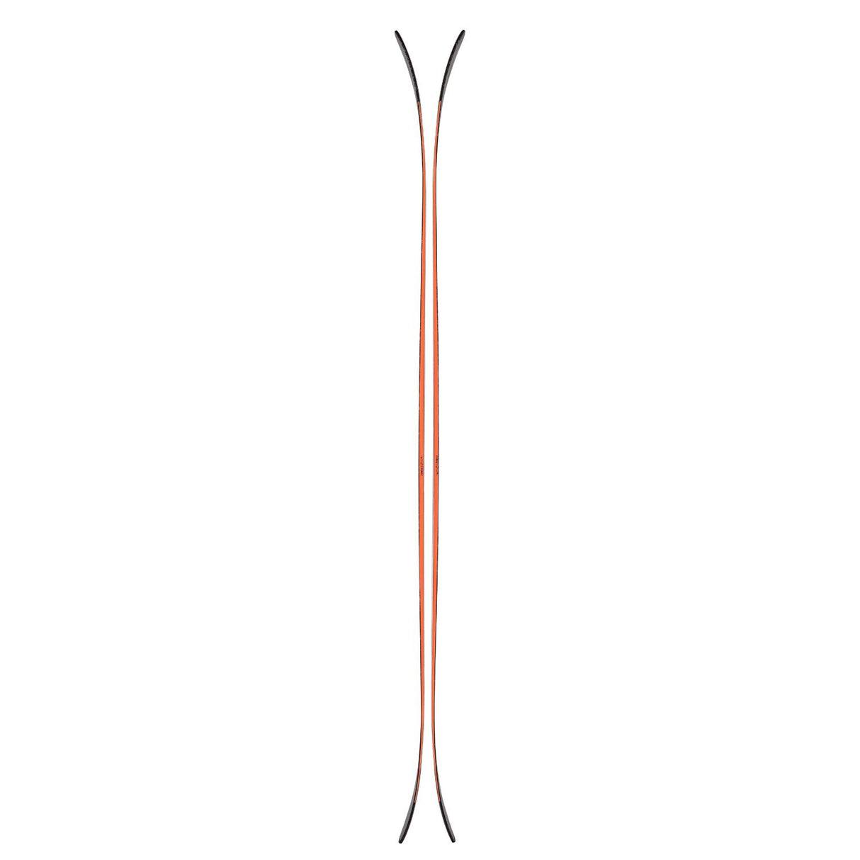 Skis Canvas 100 Profile