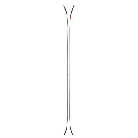 Skis Canvas 100 Profile