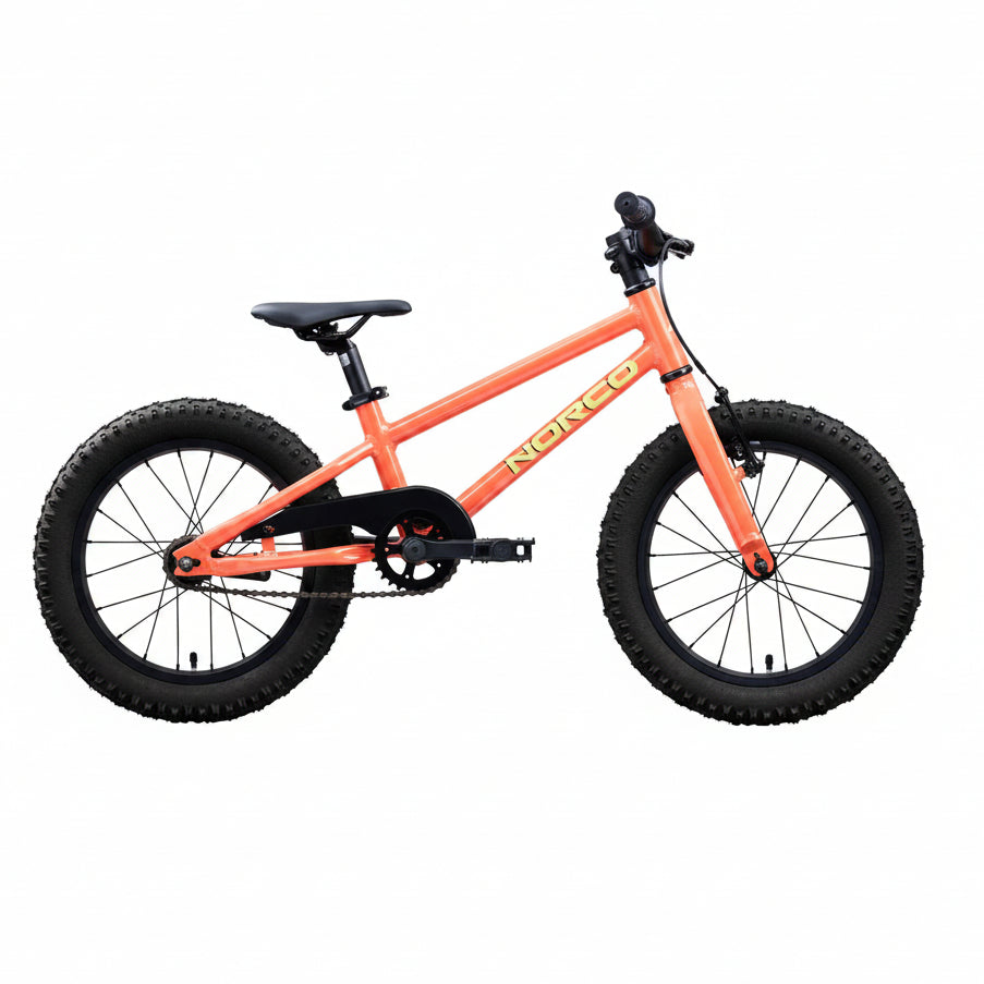 Vélo Storm 16 Coaster