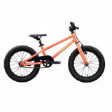 Vélo Storm 16 Coaster