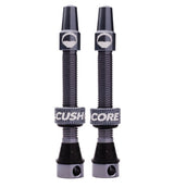 Valve Tubeless