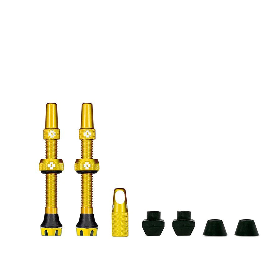 Valves Tubeless V2