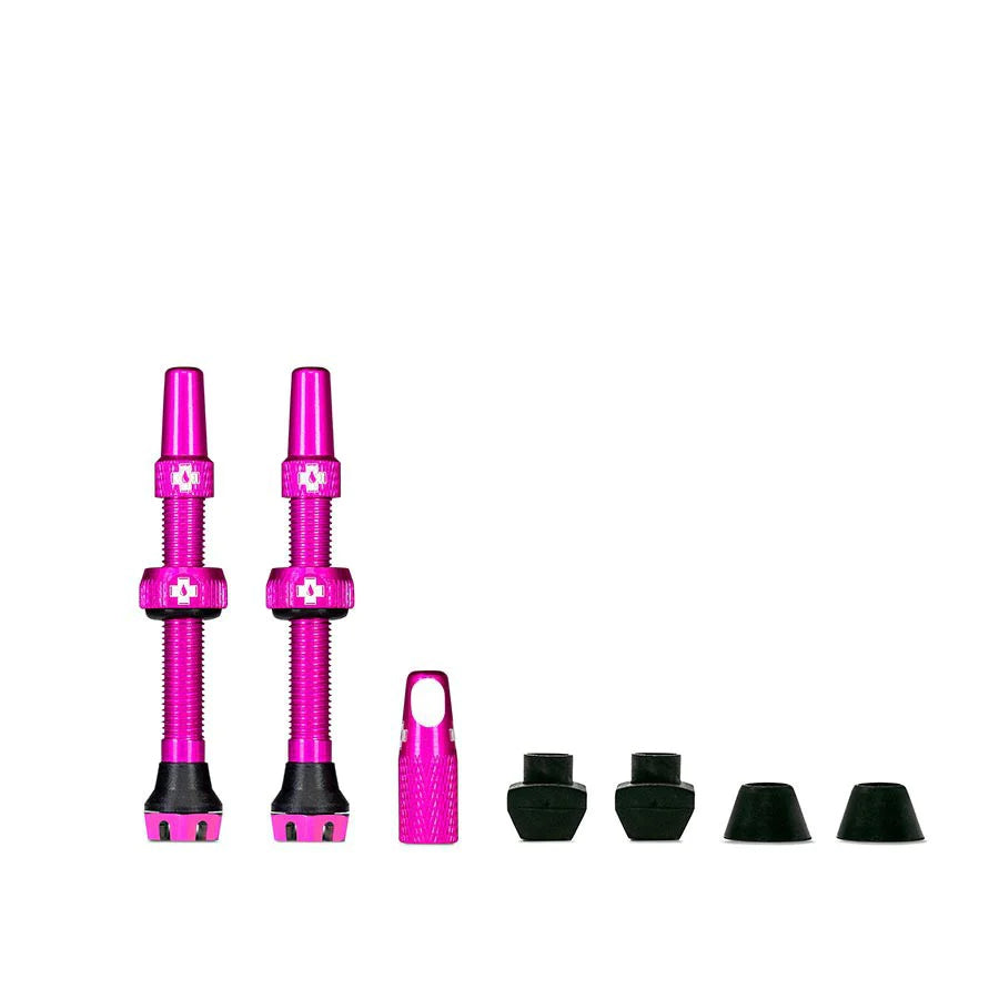 Valves Tubeless V2