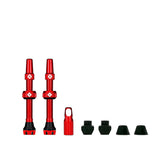 Valves Tubeless V2