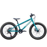 Storm 20 Disc Bicycle