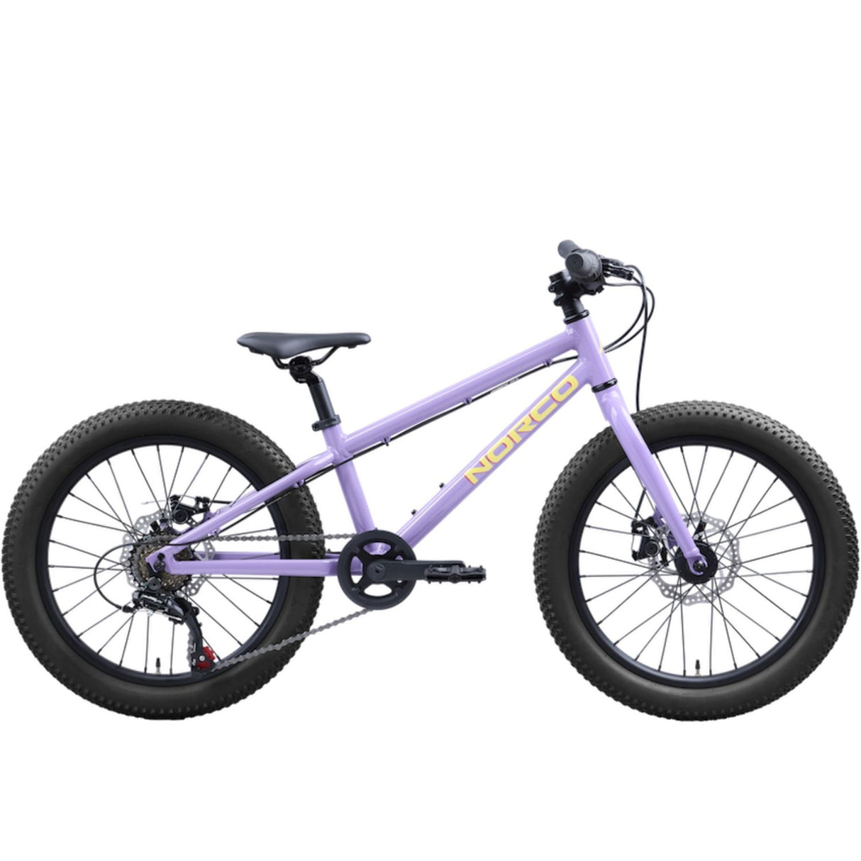 Storm 20 Disc Bicycle