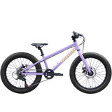 Storm 20 Disc Bicycle