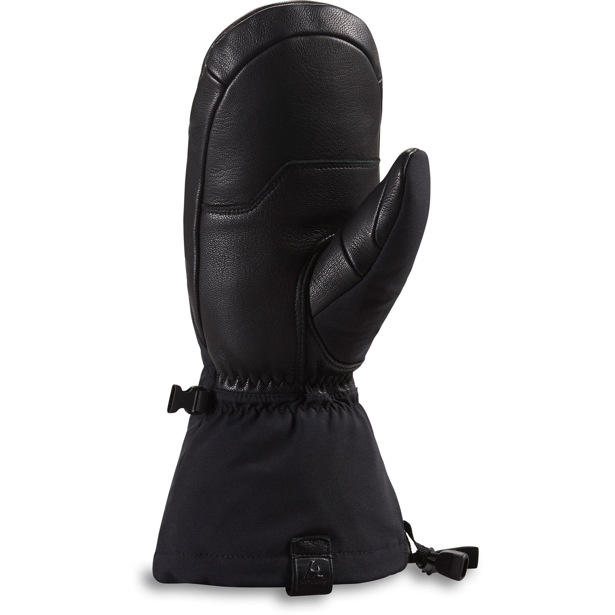 Excursion Gore-Tex Mittens - Women's
